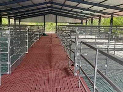 Sheep and Goat Farm Elevated shed